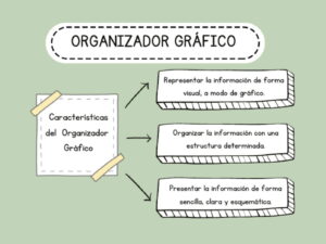 organizador gráfico